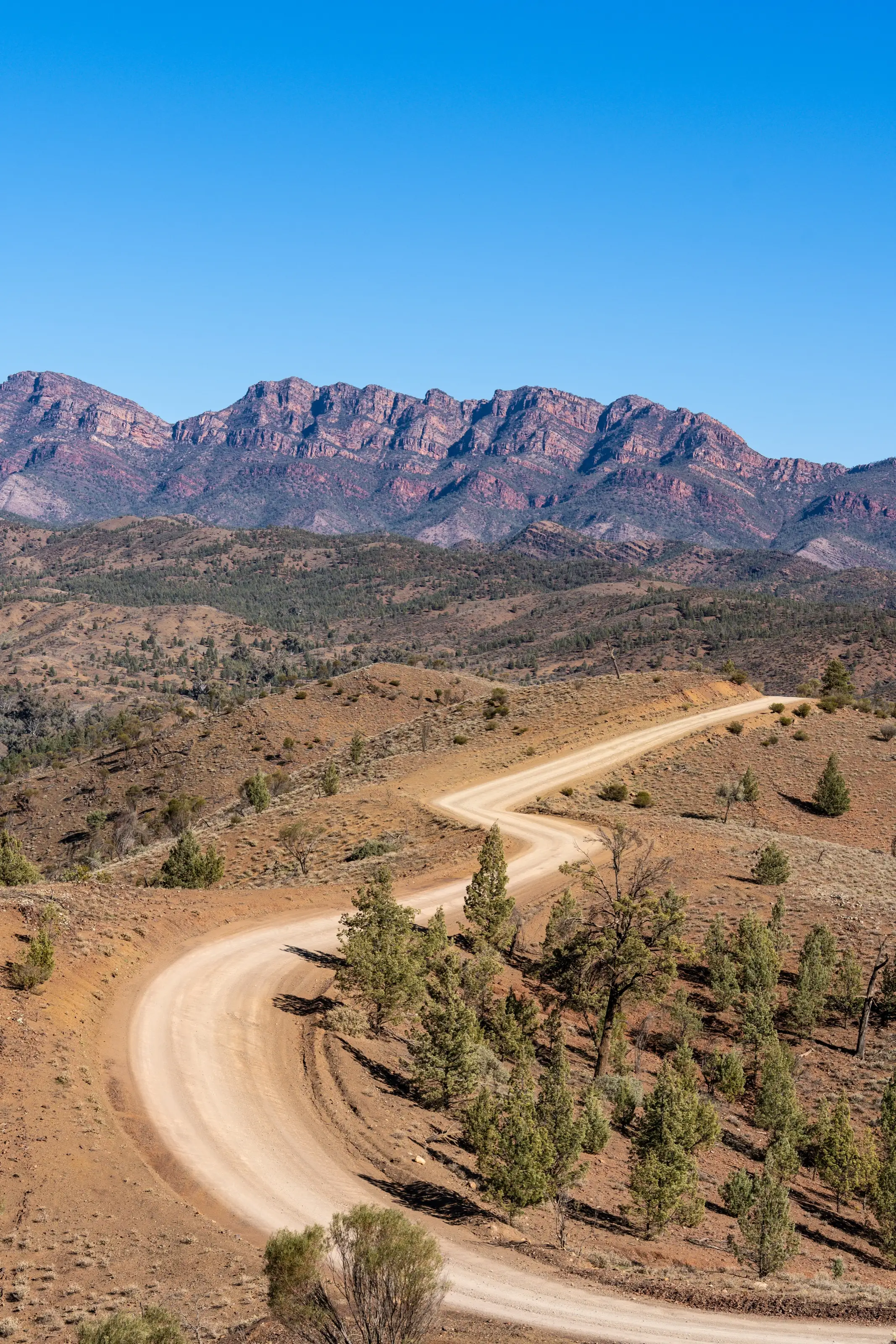 A dirt road winding toward red mountain walls