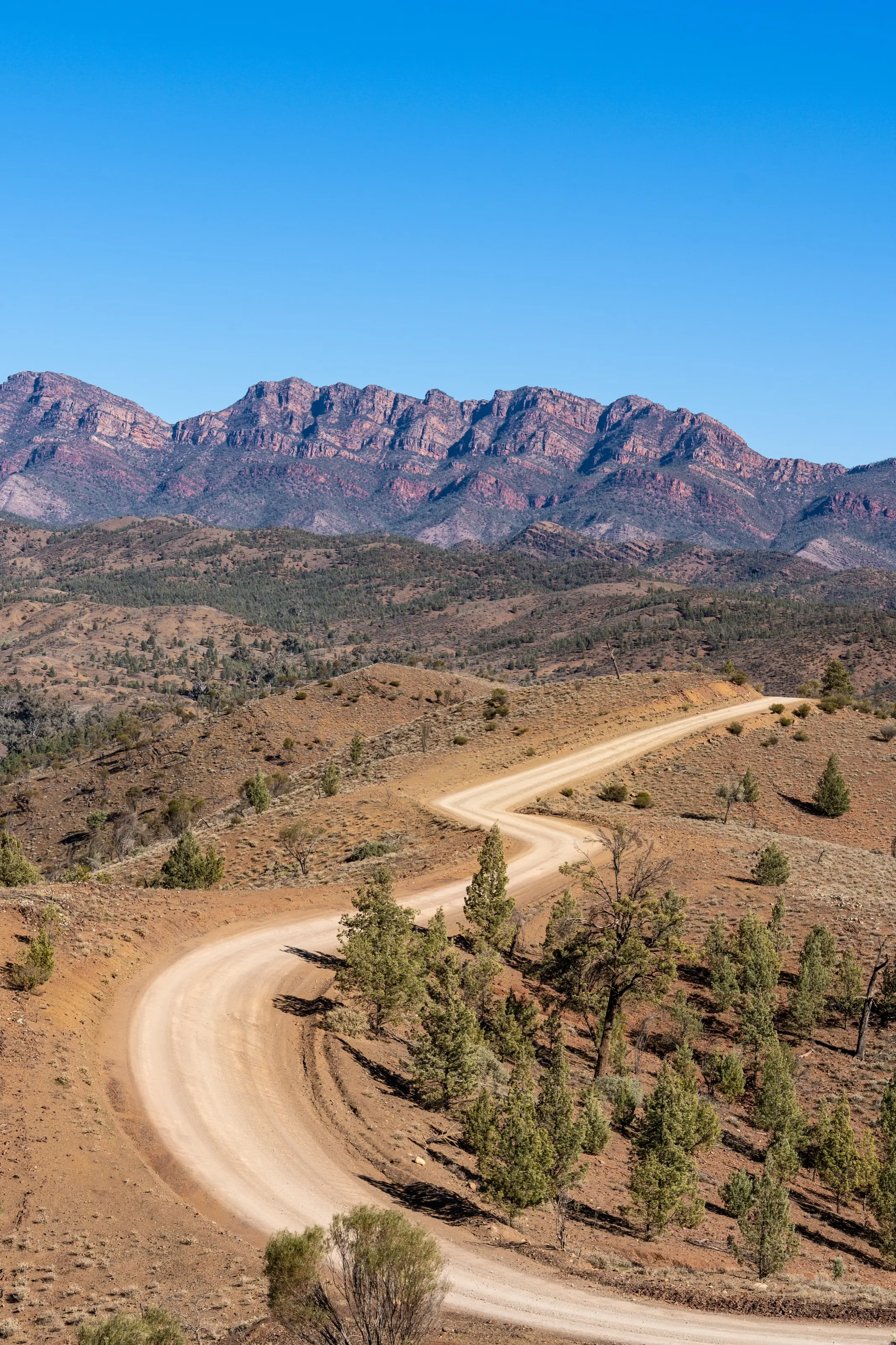 A dirt road winding toward red mountain walls