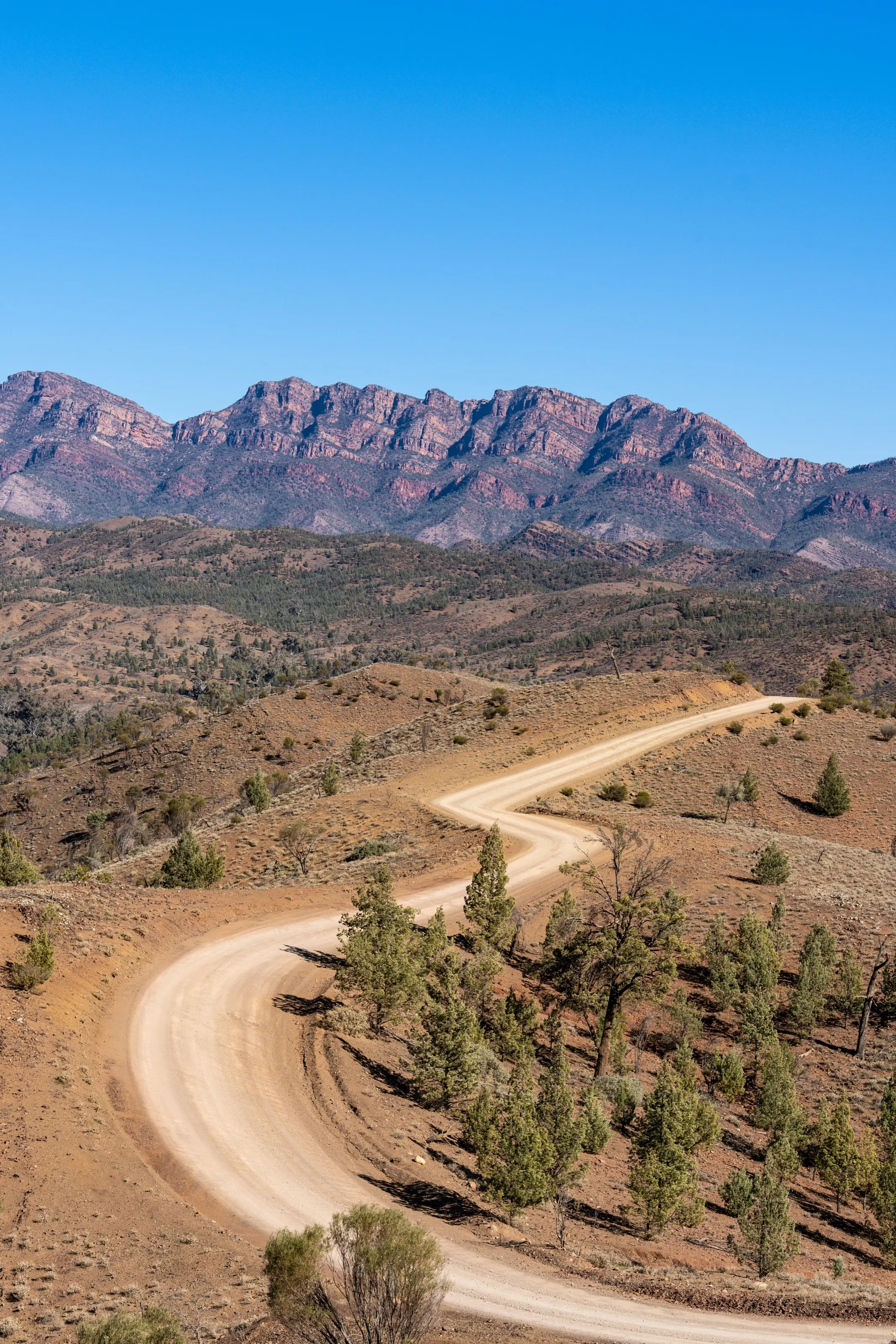 A dirt road winding toward red mountain walls