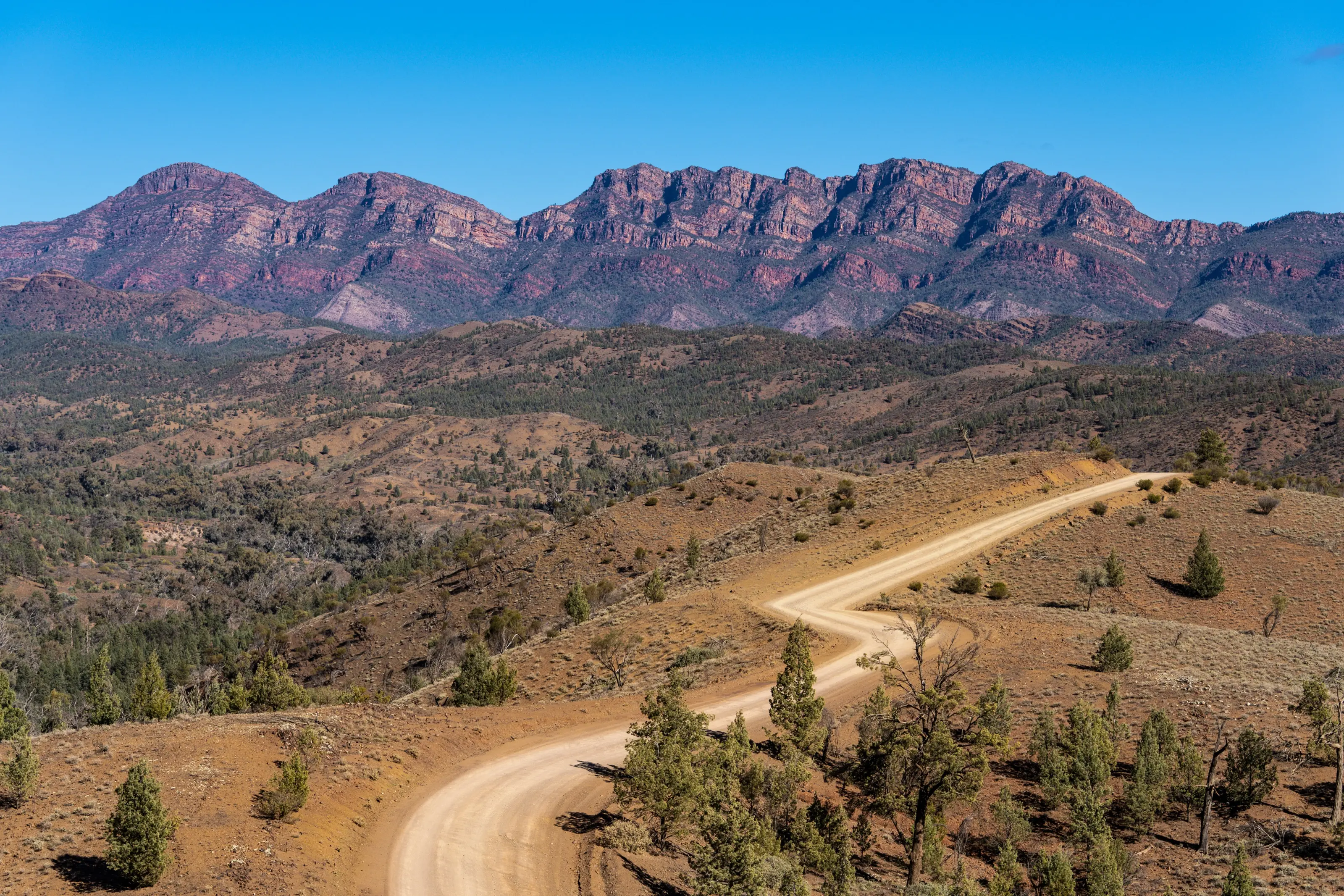 Red rock ranges with a dirt road winding through scrubland · Earth Portraits