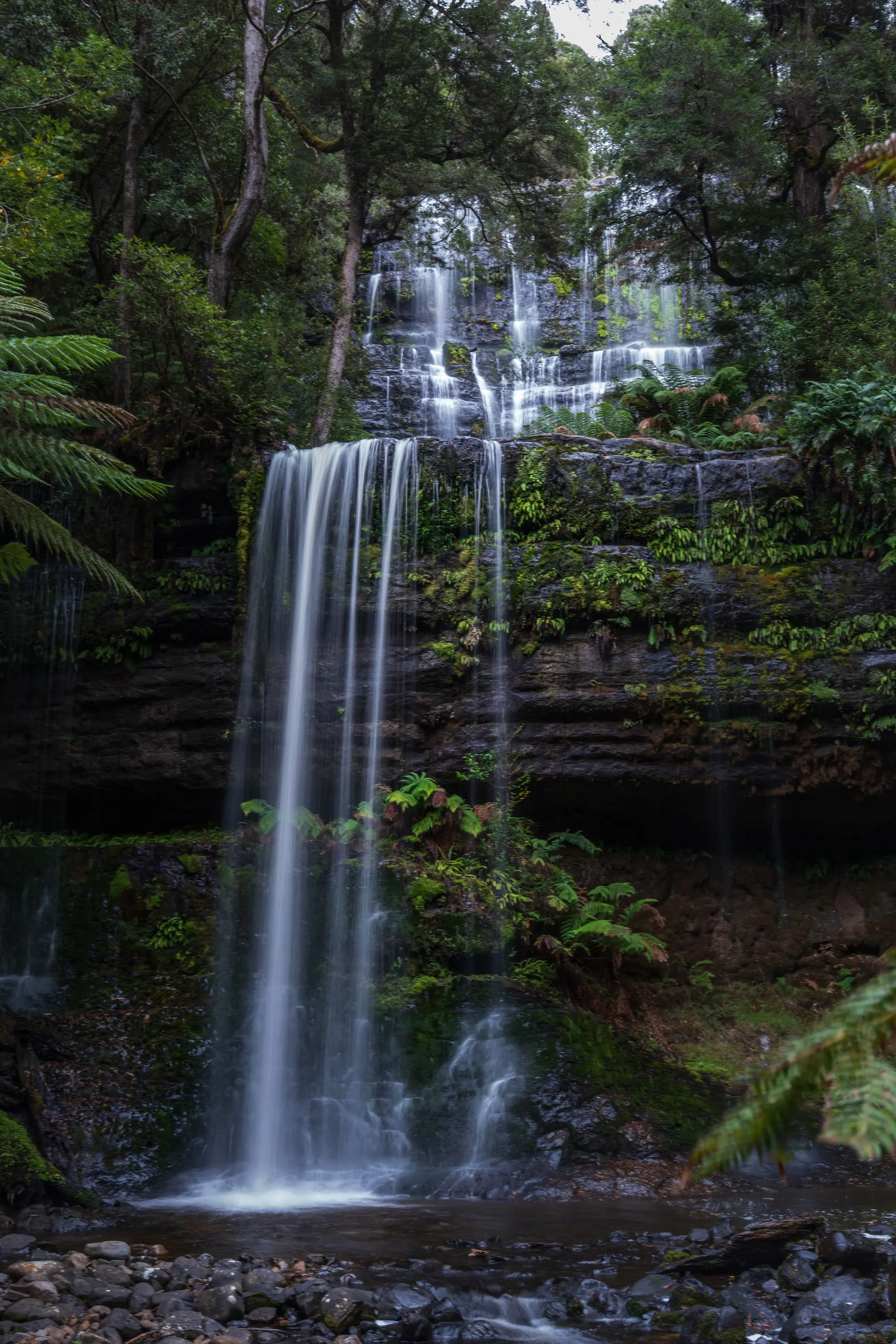 A tiered waterfall veiled by long exposure in a fern forest